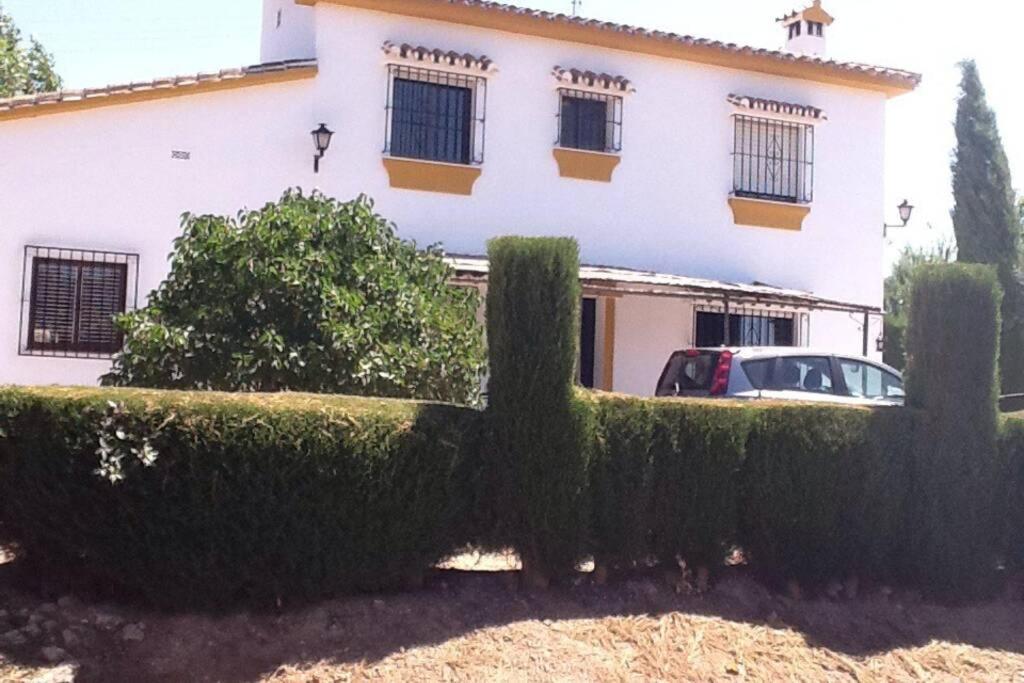 Villa Finca Los Abetos Villanueva del Rosario Exterior foto